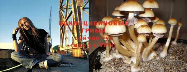 гашик Алзамай