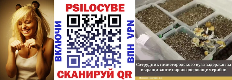 Псилоцибиновые грибы MAGIC MUSHROOMS  Асбест 